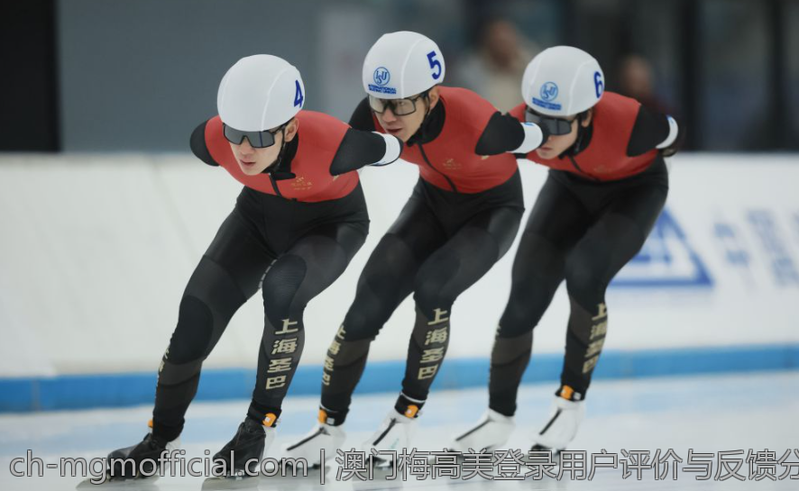 澳门梅高美登录用户评价与反馈分析