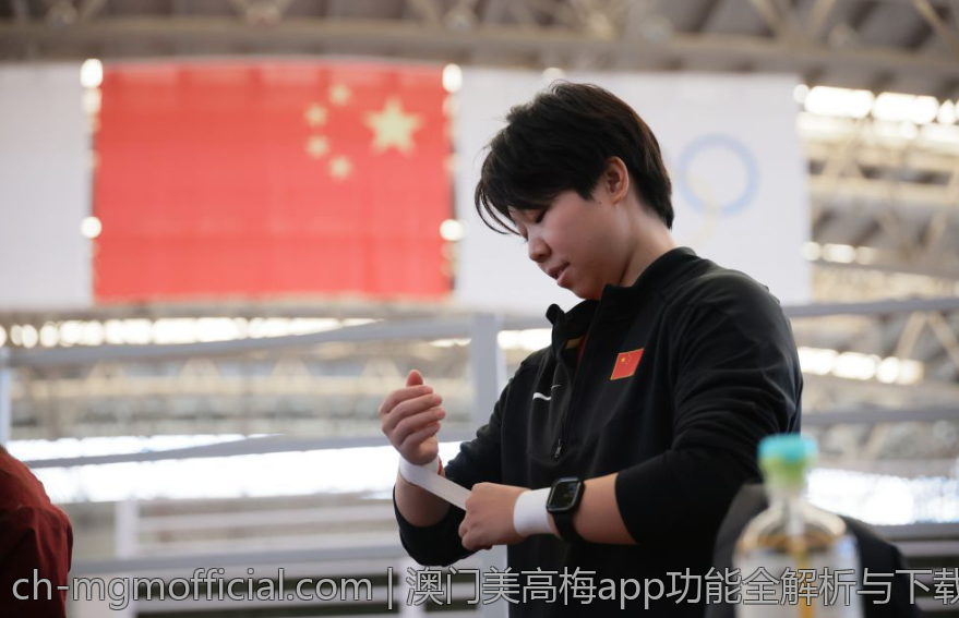 澳门美高梅app功能全解析与下载