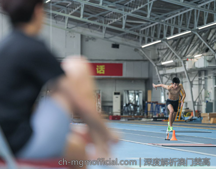 深度解析澳门美高
